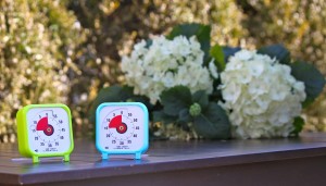 Time Timer lime and blue banner - large